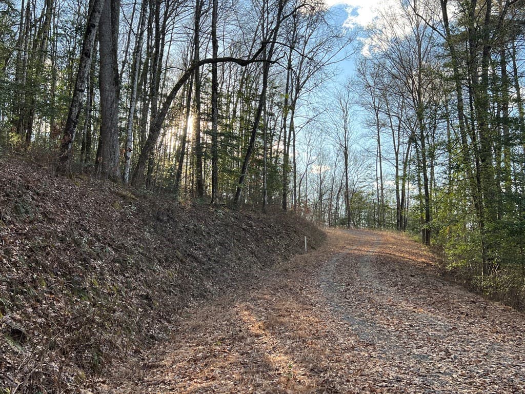 Lot 45 Tusquittee Crossing, Hayesville NC 28904 - Photo