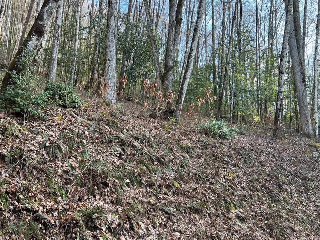 Lot 45 Tusquittee Crossing, Hayesville NC 28904 - Photo