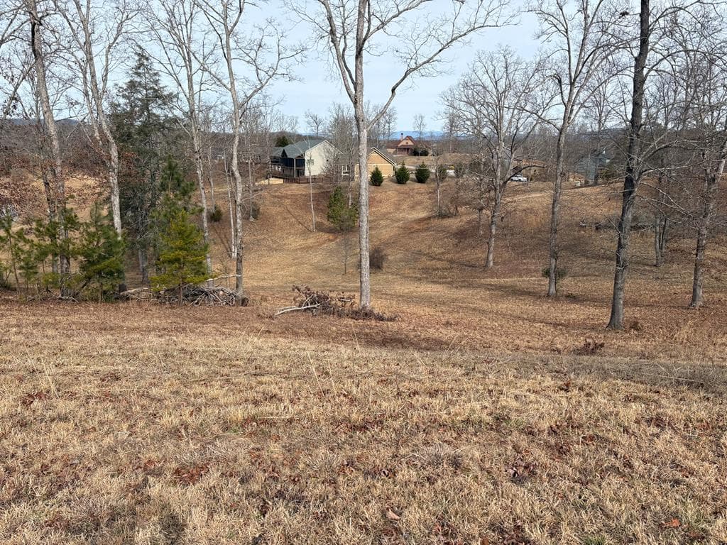 Lot 29 Hogue Way, Blairsville GA 30512 - Primary photo