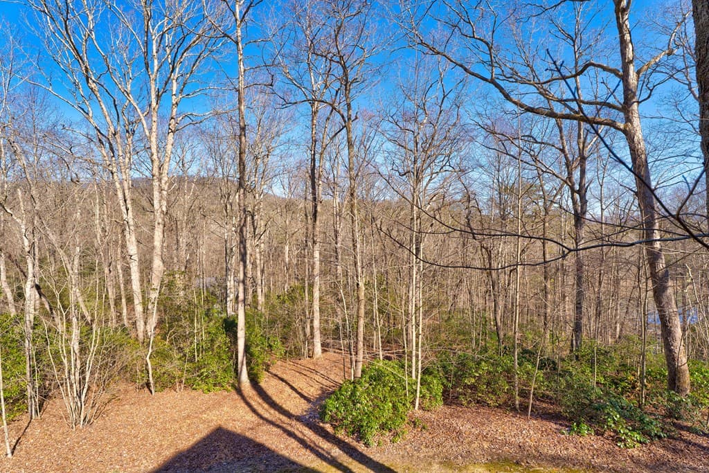 15 Mount Laurel Way, Blue Ridge GA 30513 - Photo