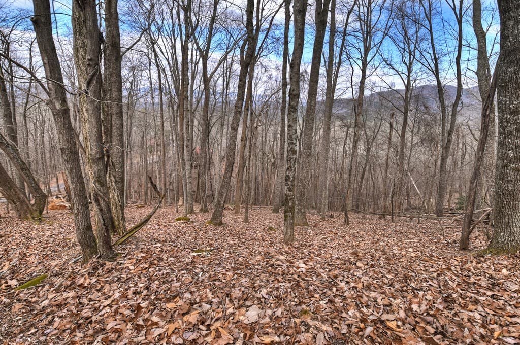 LTS 159+ Hickory Trace, Ellijay GA 30536 - Photo
