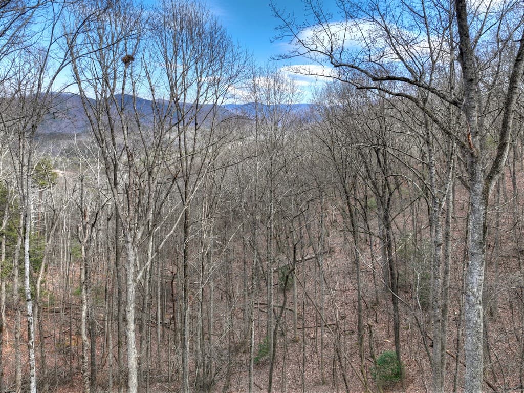 LTS 159+ Hickory Trace, Ellijay GA 30536 - Photo