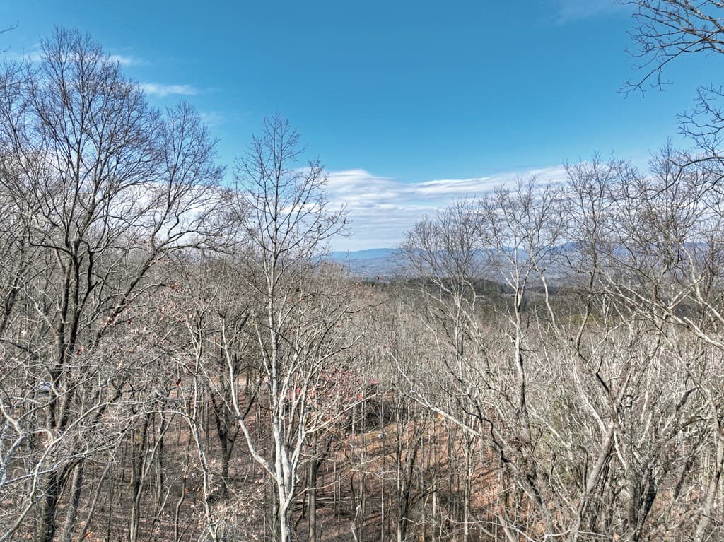 LTS 159+ Hickory Trace, Ellijay GA 30536 - Photo