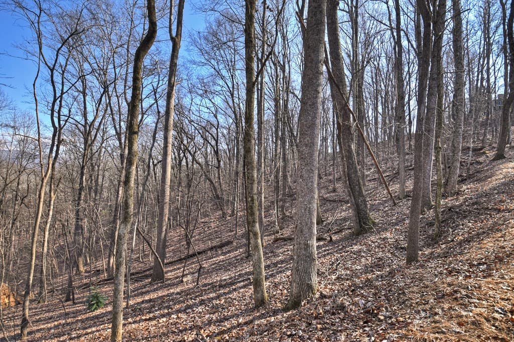 LTS 159+ Hickory Trace, Ellijay GA 30536 - Photo
