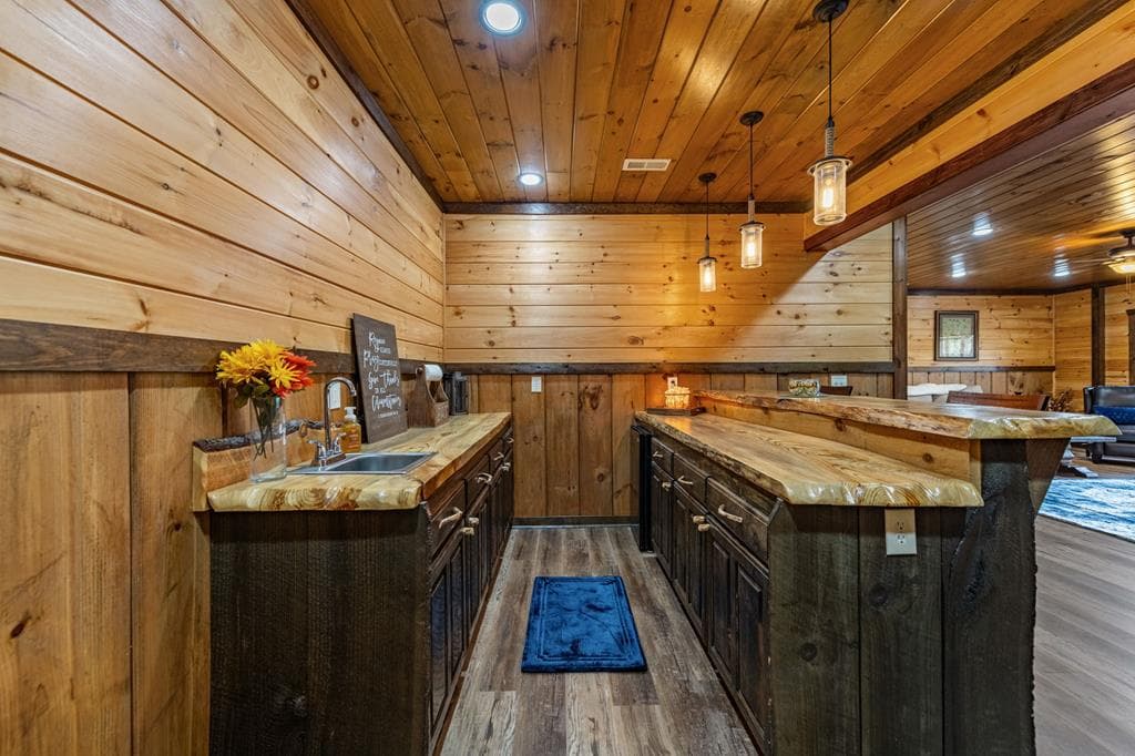 360 Hope Drive, Blue Ridge GA 30513 - Photo
