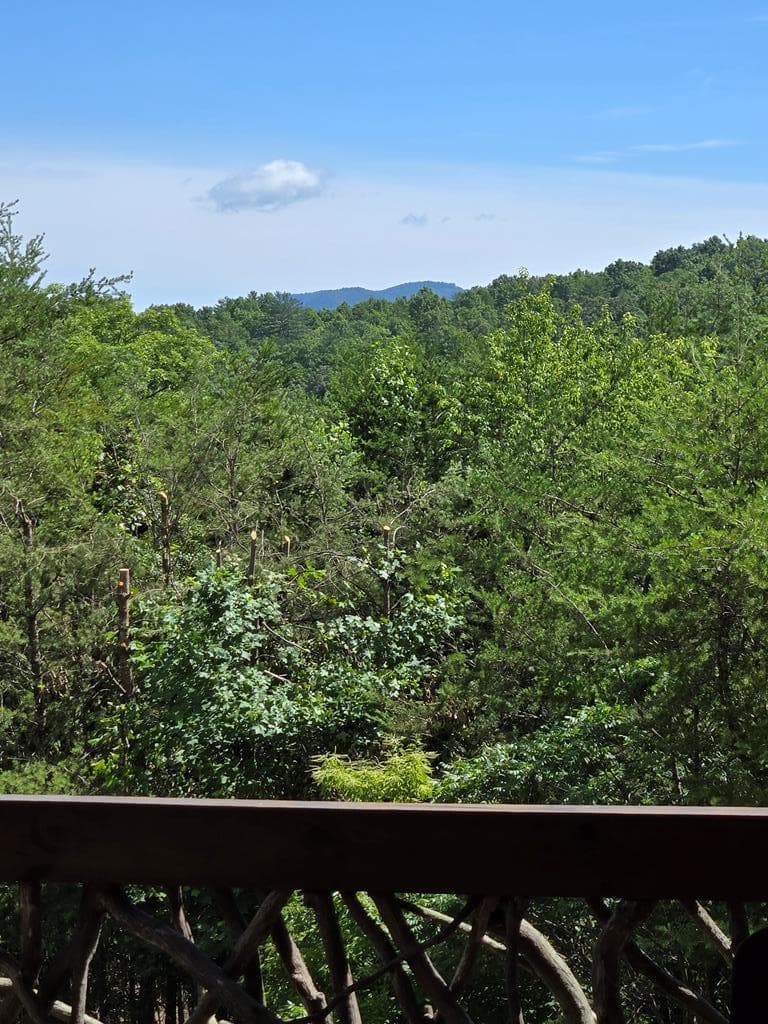 360 Hope Drive, Blue Ridge GA 30513 - Photo