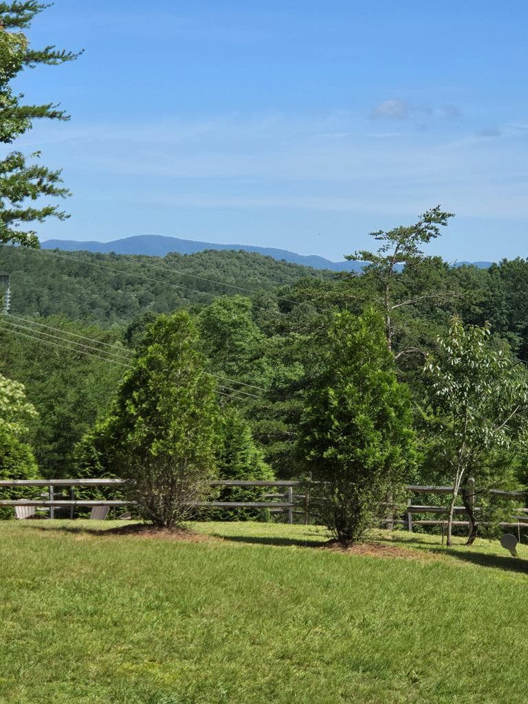 360 Hope Drive, Blue Ridge GA 30513 - Photo