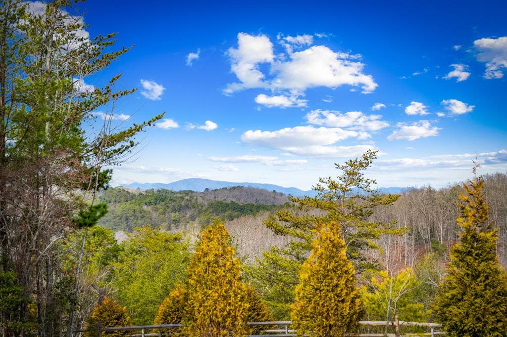 360 Hope Drive, Blue Ridge GA 30513 - Photo
