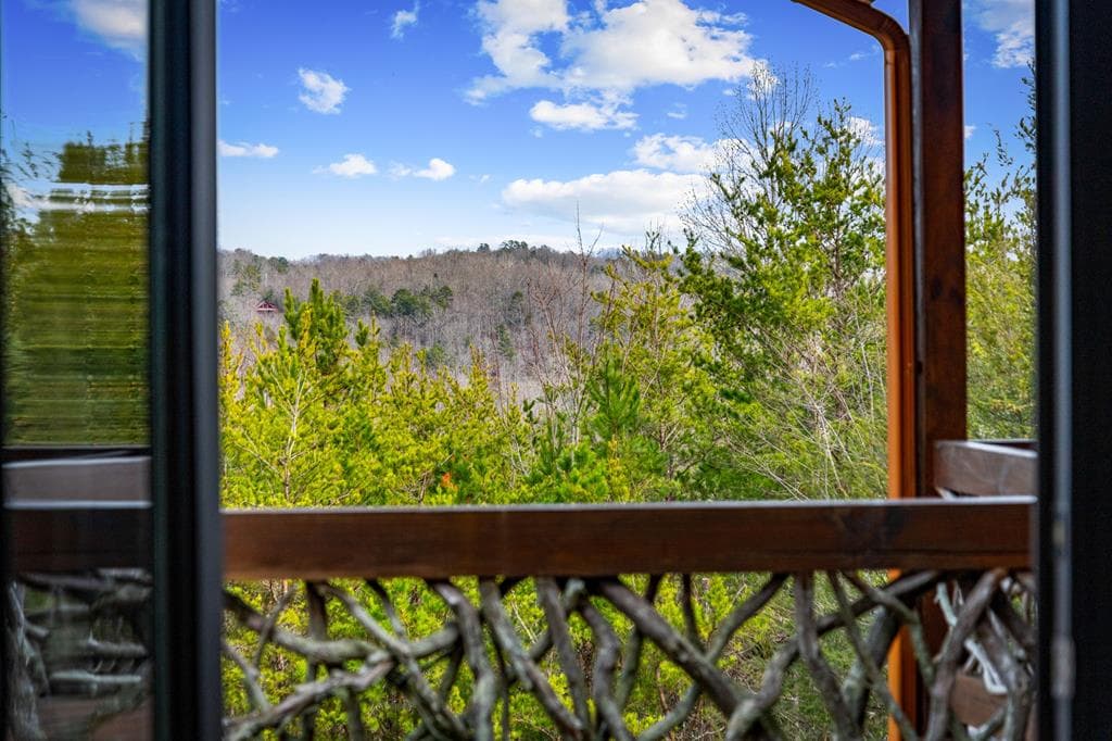360 Hope Drive, Blue Ridge GA 30513 - Photo