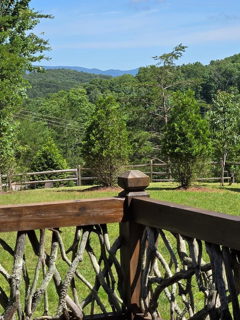 360 Hope Drive, Blue Ridge GA 30513 - Photo