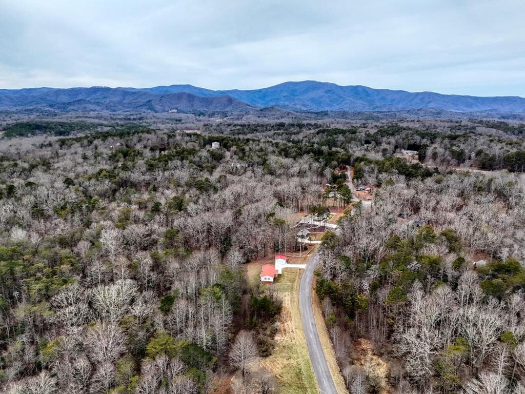 643 Number 20 Mine Road, Mccaysville GA 30555 - Photo