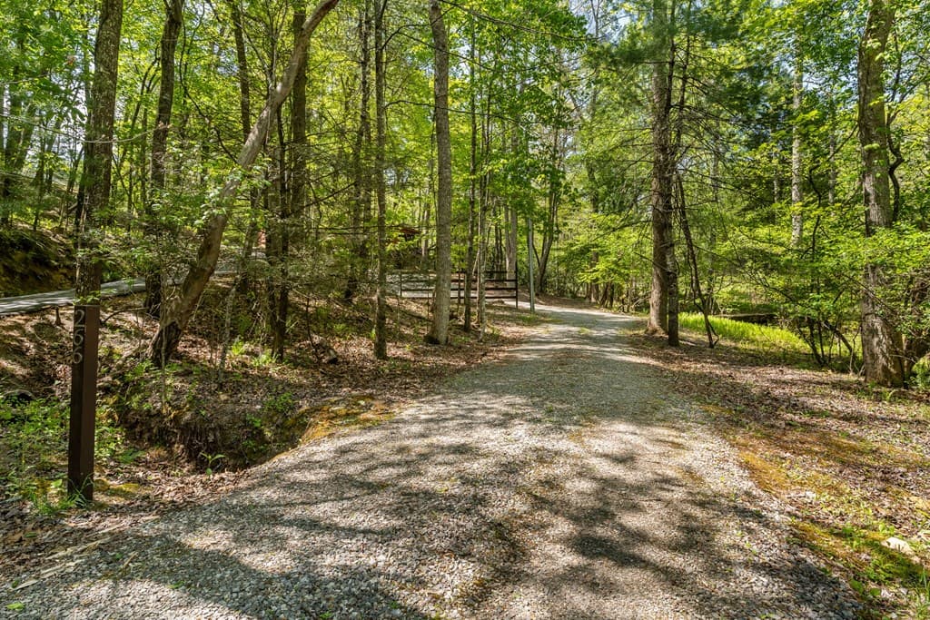 266 Mabry Lane, Morganton GA 30560 - Photo
