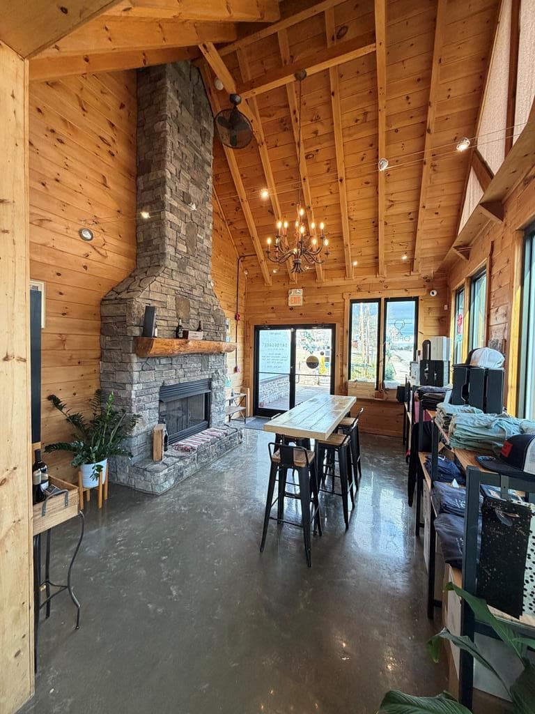 146 Depot Street, Blue Ridge GA 30515 - Photo