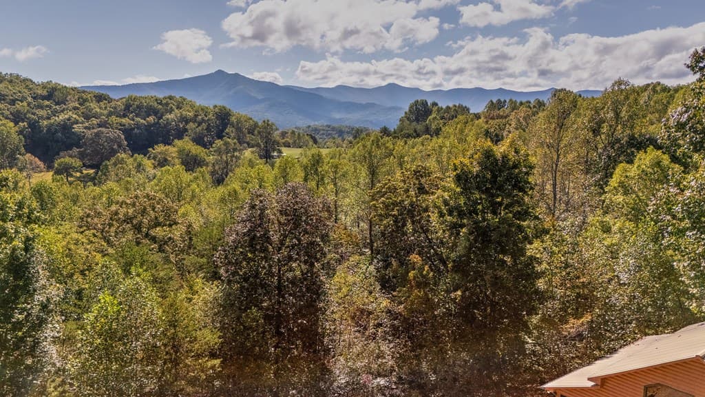 314 Ruby Ridge, Young Harris GA 30582 - Photo