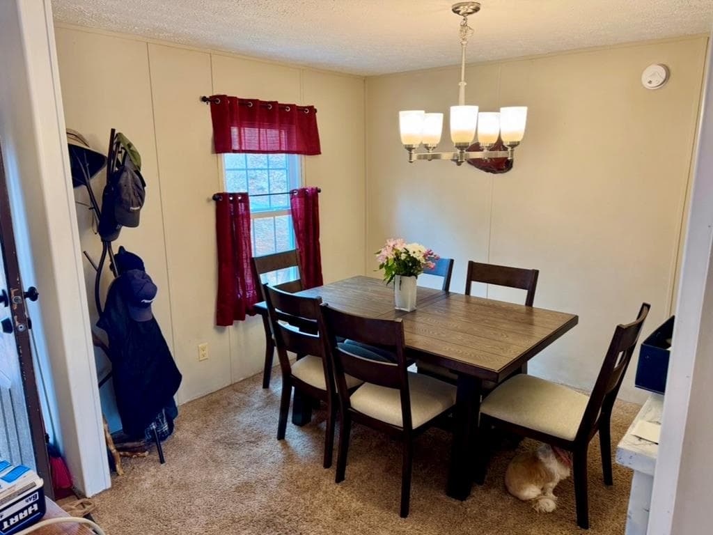 424 Mountain Oak Trail, Jasper GA 30143 - Photo