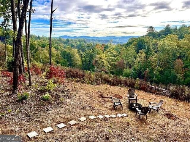 465 White Oak Circle, Blue Ridge GA 30513 - Photo