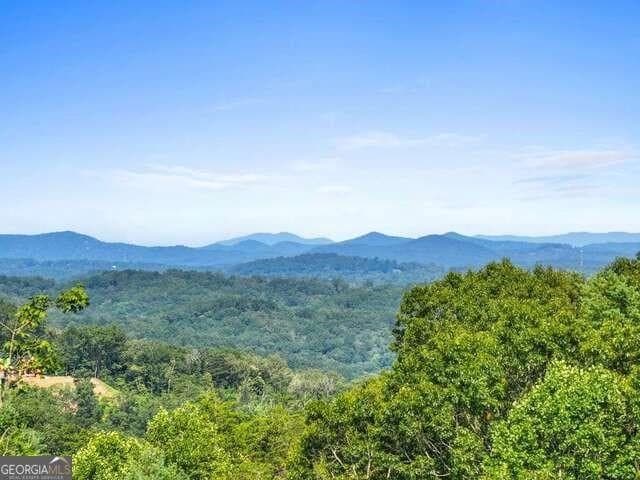 465 White Oak Circle, Blue Ridge GA 30513 - Photo