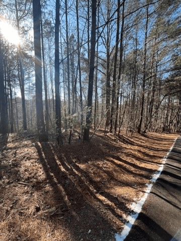Lot 36R Lake View Lane, Ellijay GA 30536 - Photo