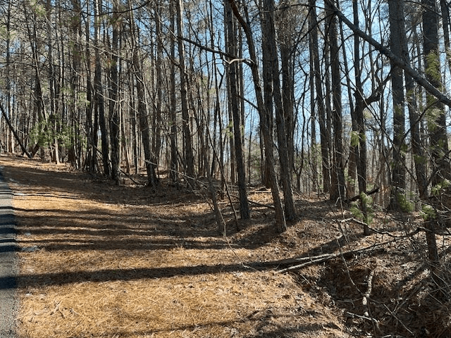 Lot 36R Lake View Lane, Ellijay GA 30536 - Photo