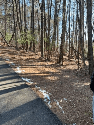 Lot 36R Lake View Lane, Ellijay GA 30536 - Photo
