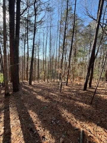 Lot 36R Lake View Lane, Ellijay GA 30536 - Photo