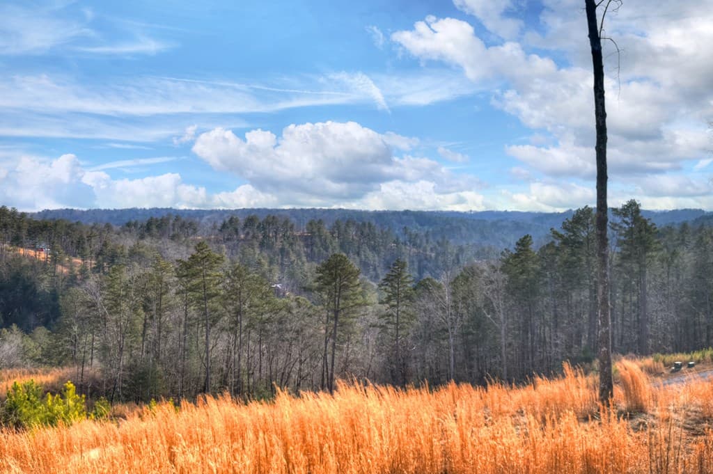 28 Mountaintown Overlook, Ellijay GA 30540 - Photo