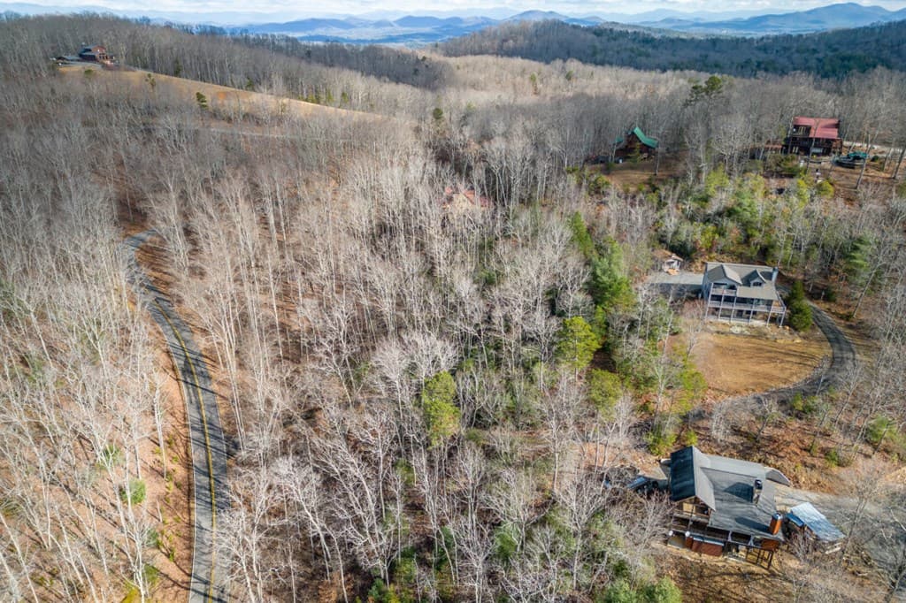 Lot 7 Squirrel Hunting Road, Morganton GA 30560 - Photo