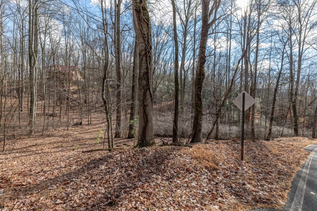 Lot 7 Squirrel Hunting Road, Morganton GA 30560 - Photo