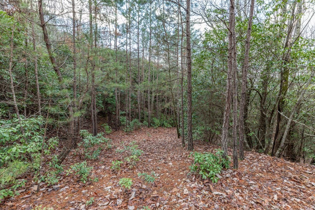 Lot 7 Squirrel Hunting Road, Morganton GA 30560 - Photo