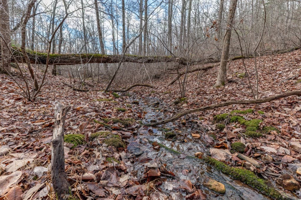 Lot 7 Squirrel Hunting Road, Morganton GA 30560 - Photo