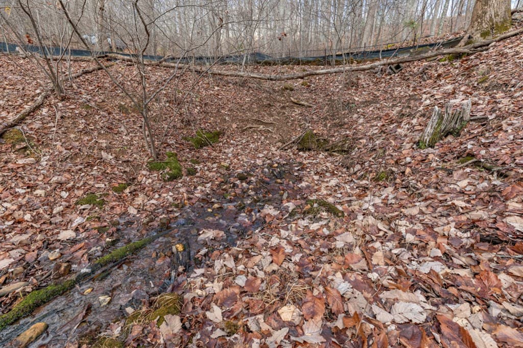 Lot 7 Squirrel Hunting Road, Morganton GA 30560 - Photo