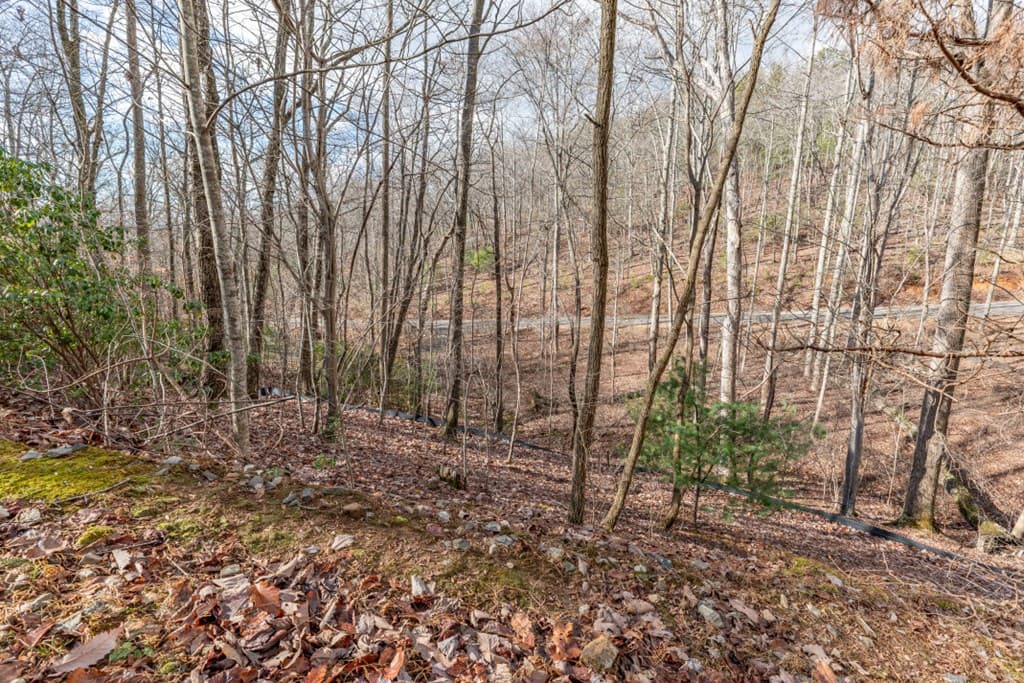 Lot 7 Squirrel Hunting Road, Morganton GA 30560 - Photo
