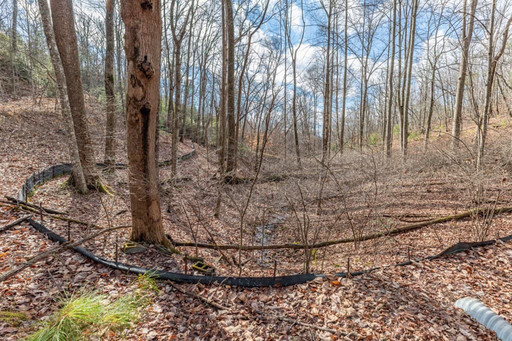 Lot 7 Squirrel Hunting Road, Morganton GA 30560 - Photo