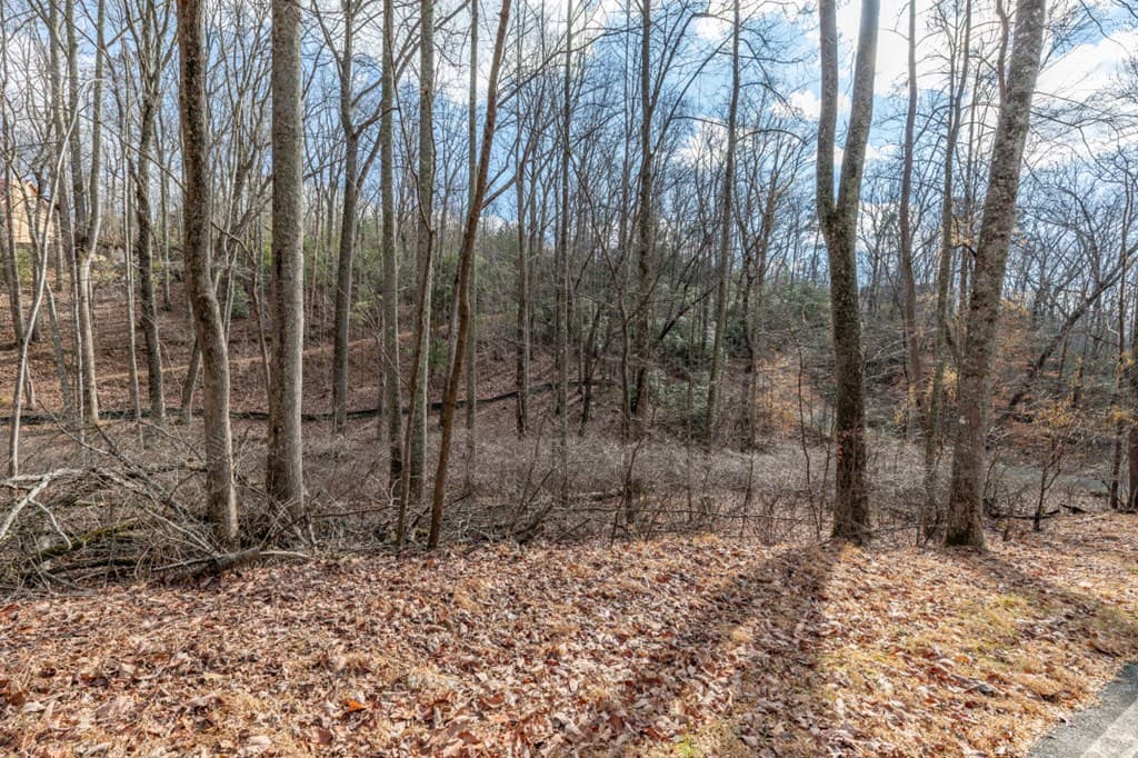 Lot 7 Squirrel Hunting Road, Morganton GA 30560 - Photo