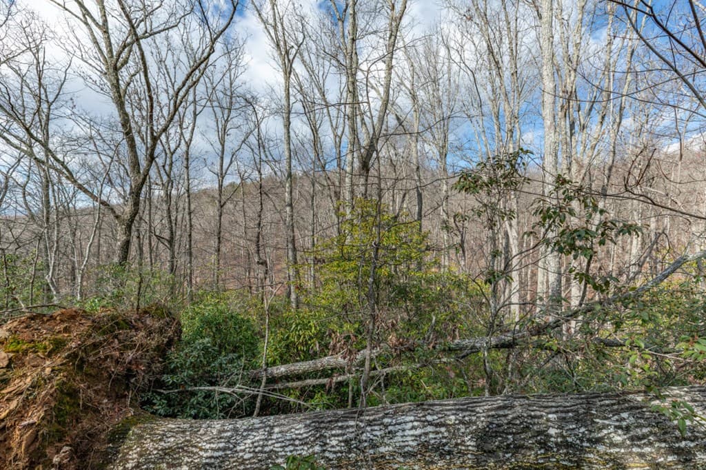 Lot 7 Squirrel Hunting Road, Morganton GA 30560 - Photo