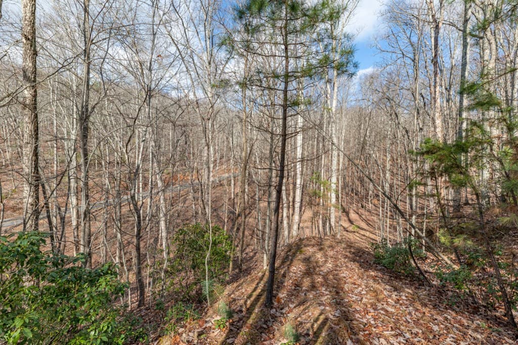 Lot 7 Squirrel Hunting Road, Morganton GA 30560 - Photo