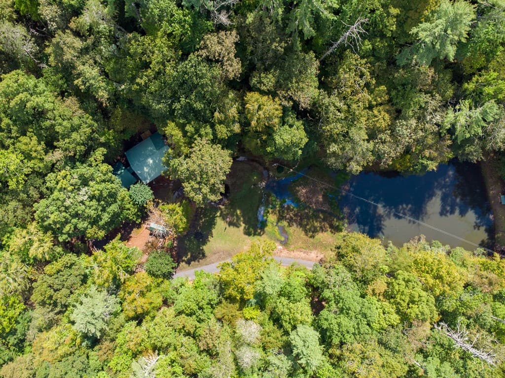 131 Ralph Hickey Rd, Chatsworth GA 30705 - Photo