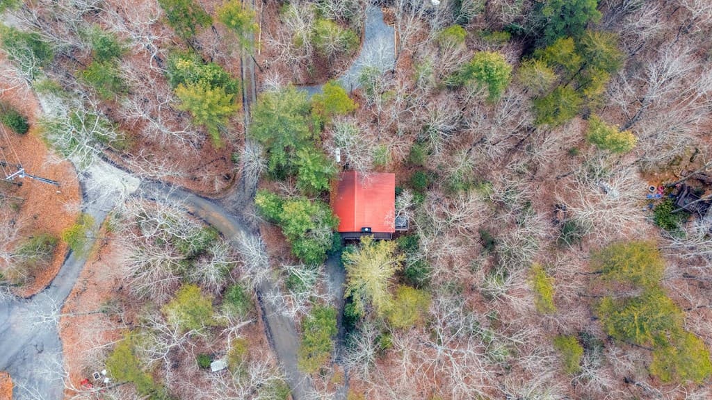 1165 Little Bushy Head Road, Blue Ridge GA 30513 - Photo