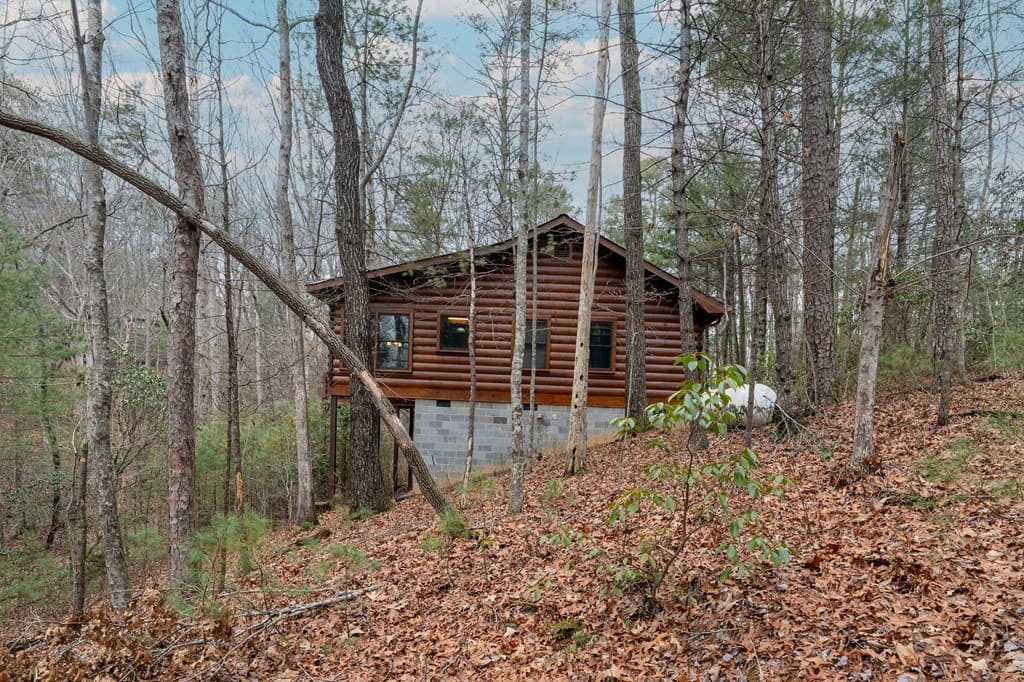 1165 Little Bushy Head Road, Blue Ridge GA 30513 - Photo