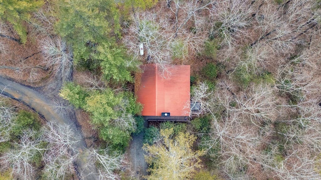1165 Little Bushy Head Road, Blue Ridge GA 30513 - Photo