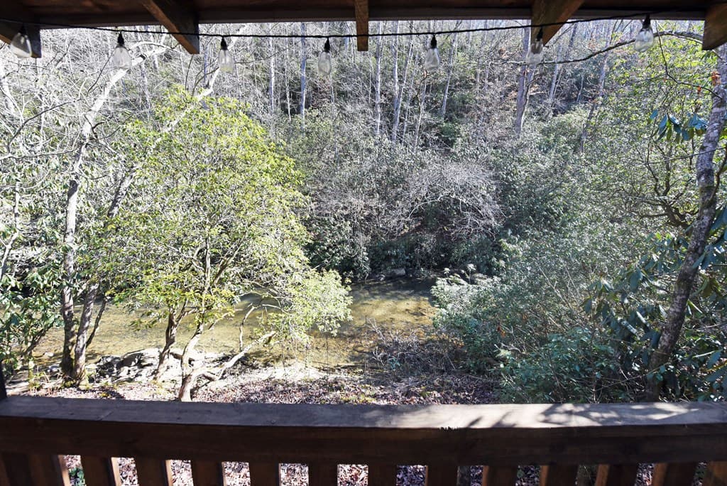 150 Donna Lee Lane, Mineral Bluff GA 30559 - Photo