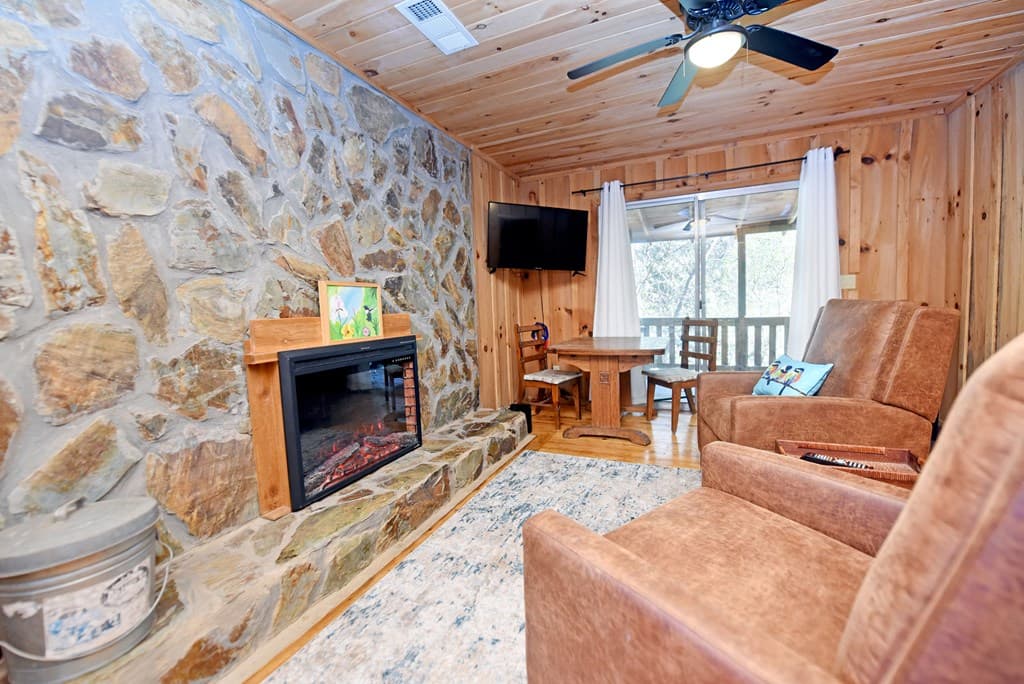 150 Donna Lee Lane, Mineral Bluff GA 30559 - Photo