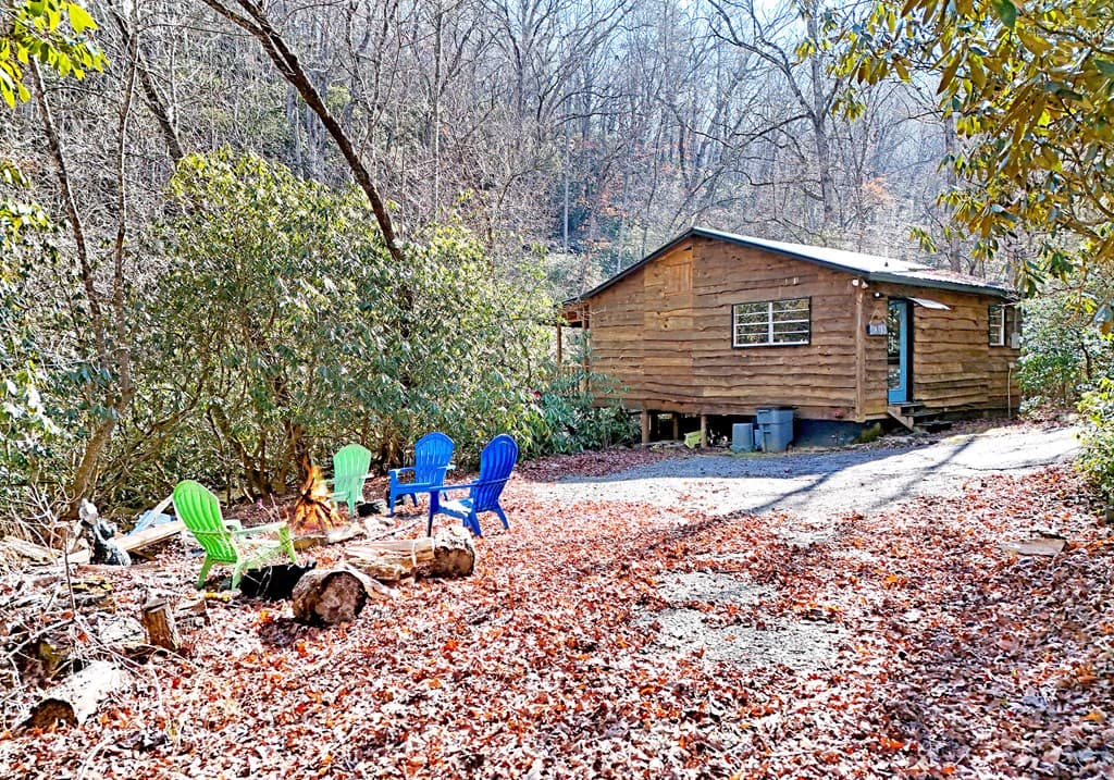 150 Donna Lee Lane, Mineral Bluff GA 30559 - Photo