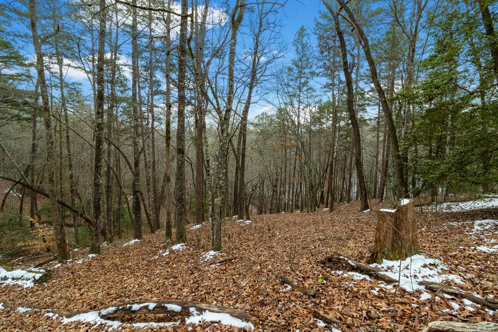 Lot 5 Curtis Ridge Road, Blue Ridge GA 30513 - Photo