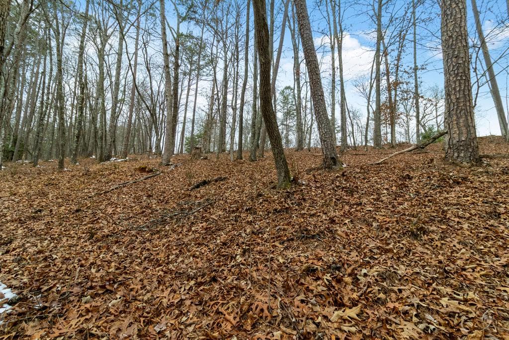 Lot 5 Curtis Ridge Road, Blue Ridge GA 30513 - Photo