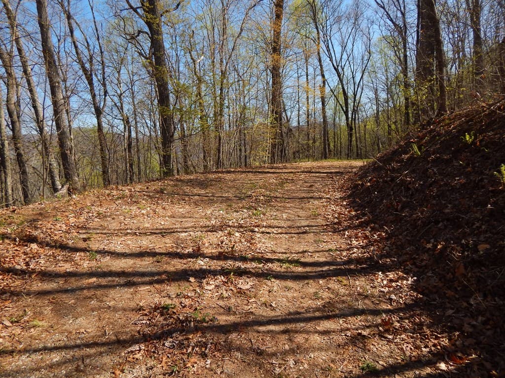 #1-3&2-3 Burnt Leaf Lane, Hayesville NC 28904 - Photo