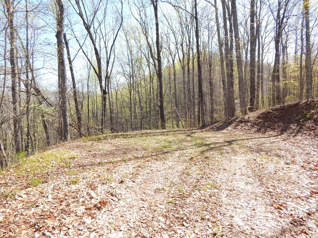 #1-3&2-3 Burnt Leaf Lane, Hayesville NC 28904 - Photo
