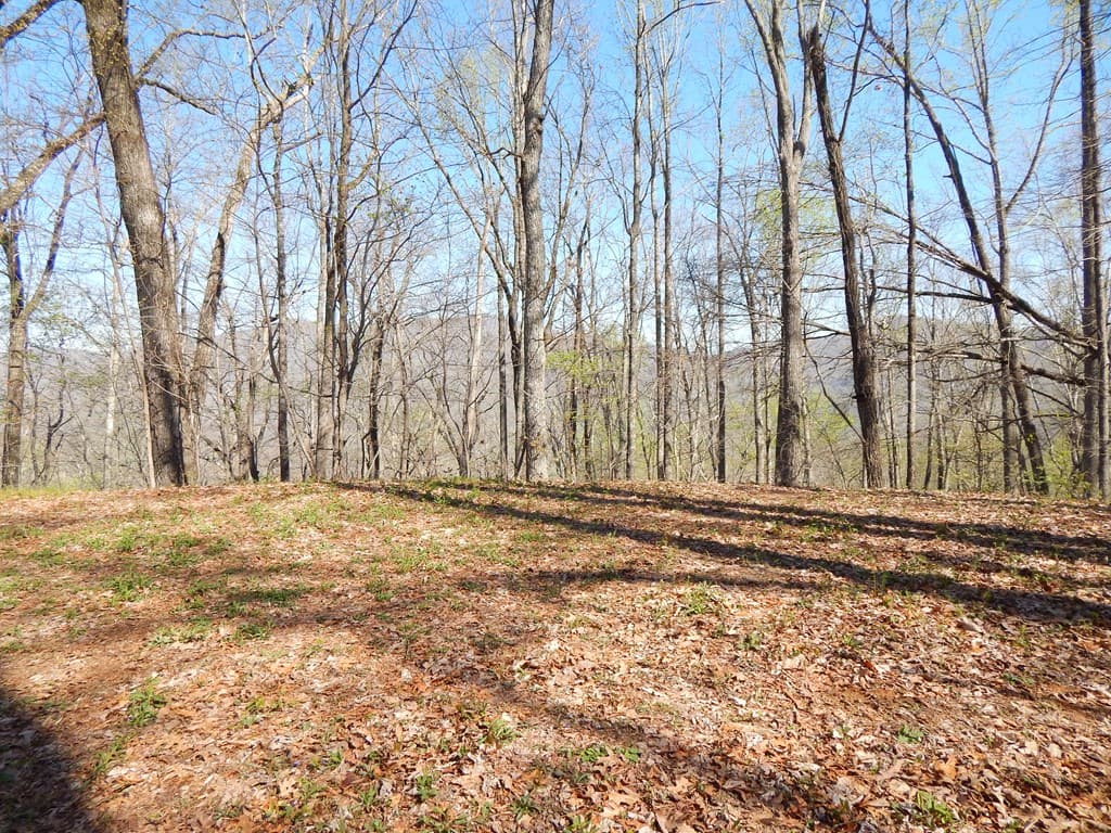#1-3&2-3 Burnt Leaf Lane, Hayesville NC 28904 - Photo