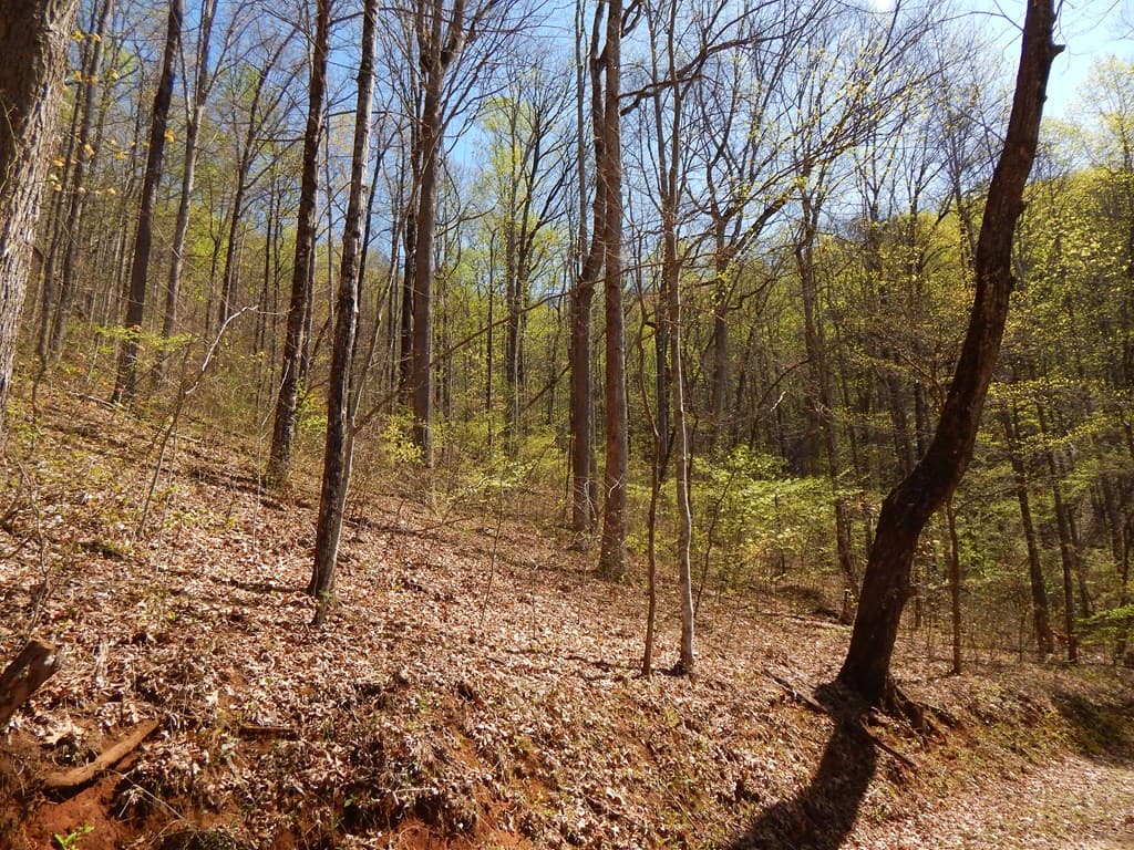 12-2,15& Burnt Leaf Lane, Hayesville NC 28904 - Photo