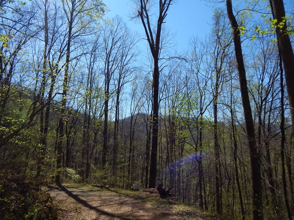 12-2,15& Burnt Leaf Lane, Hayesville NC 28904 - Photo